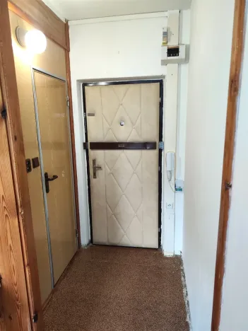 Prodej bytu 1+1, Cheb, Dvořákova, 42 m2
