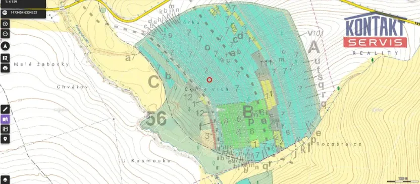 Prodej lesa, Janovice nad Úhlavou, 4786 m2