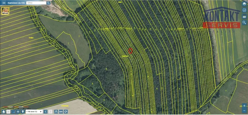Prodej lesa, Janovice nad Úhlavou, 4786 m2