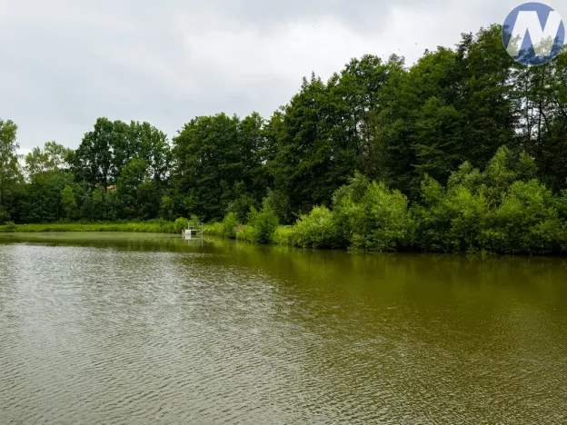 Prodej skladu, Bolešiny - Domažličky, 83 m2