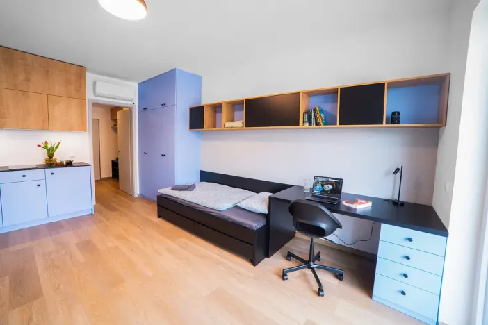 Pronájem bytu 1+kk, Olomouc, Edmunda Husserla, 29 m2