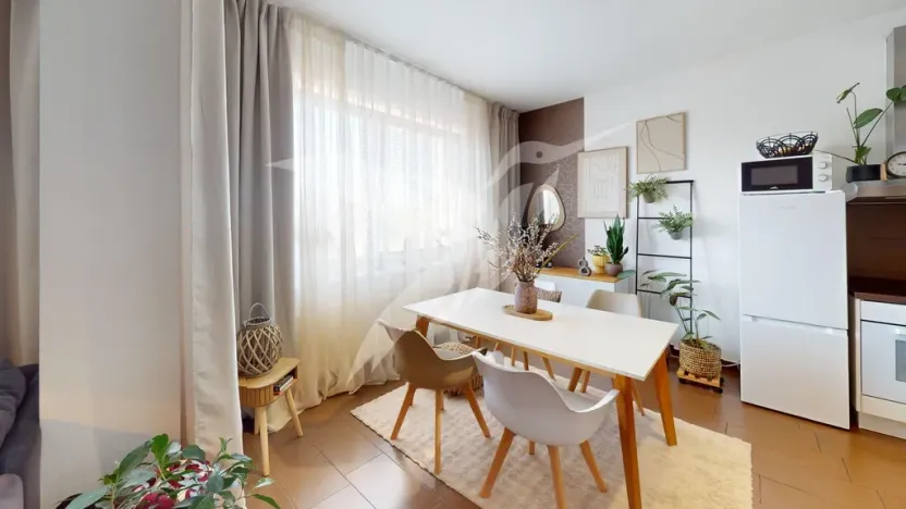 Pronájem bytu 1+kk, Plzeň, Waltrova, 54 m2