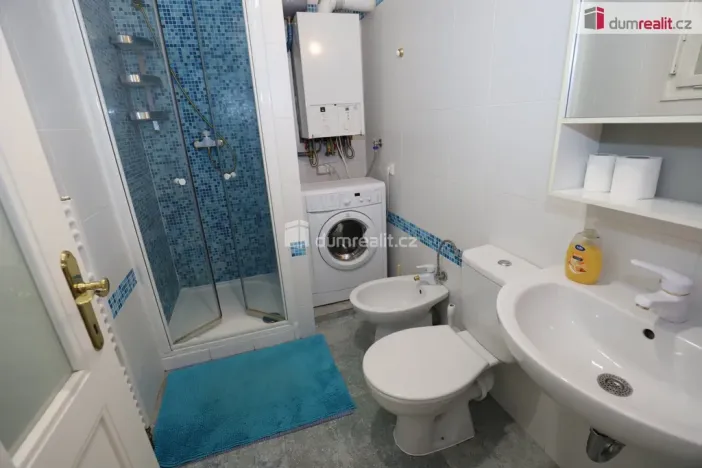 Pronájem bytu 4+kk, Praha - Vinohrady, Kolínská, 145 m2