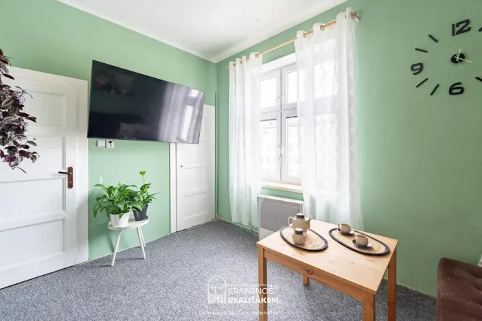 Prodej bytu 1+1, Olomouc, 17. listopadu, 48 m2