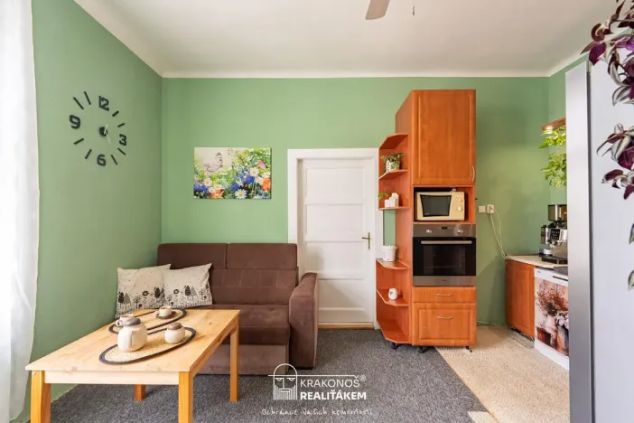 Prodej bytu 1+1, Olomouc, 17. listopadu, 48 m2