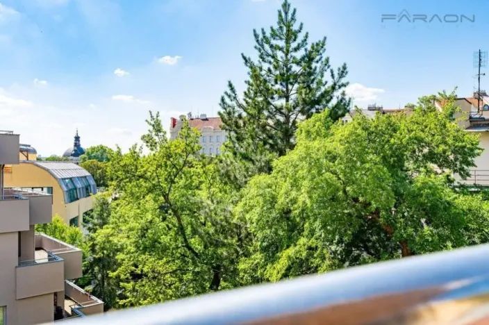 Pronájem bytu 3+kk, Praha - Vinohrady, U Zvonařky, 96 m2