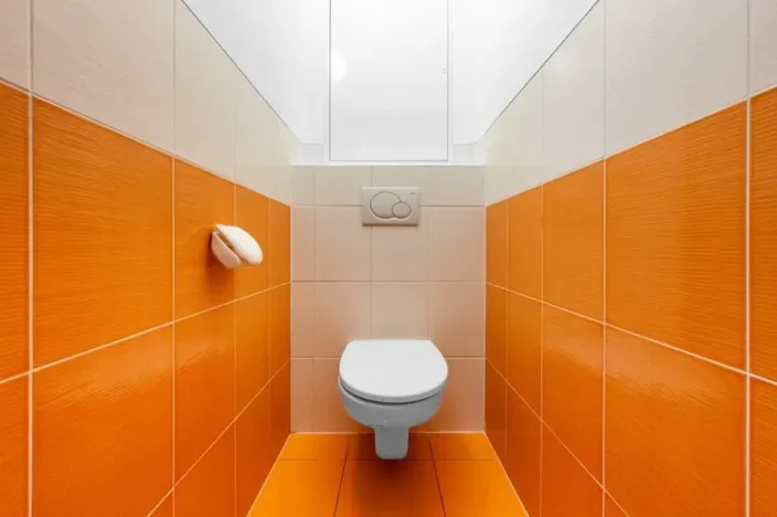 Pronájem bytu 2+kk, Praha - Holešovice, Na Maninách, 55 m2