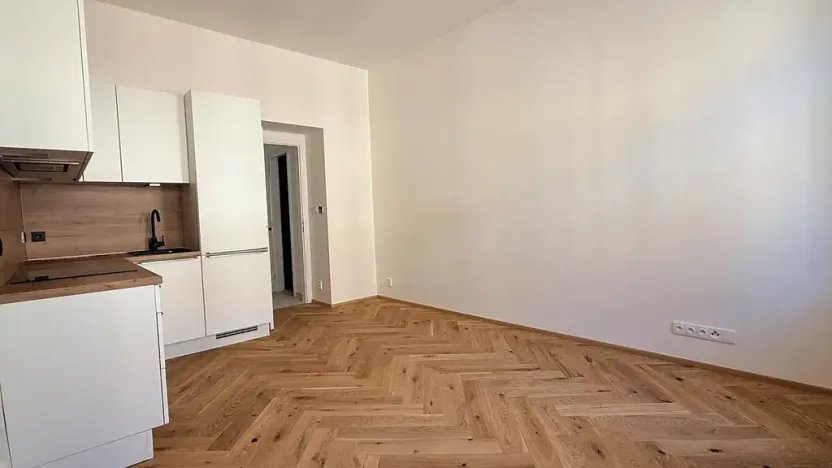 Pronájem bytu 1+kk, Praha - Žižkov, Seifertova, 25 m2
