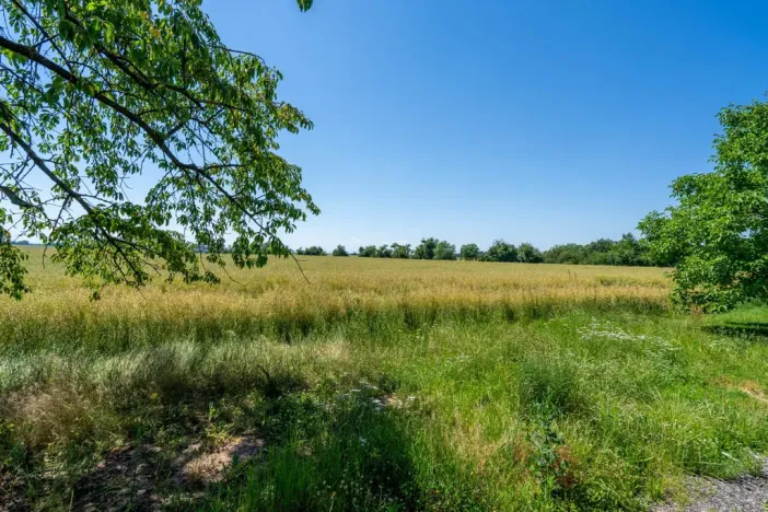 Prodej pozemku pro bydlení, Stěžery, Polní, 14692 m2