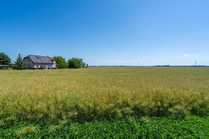 Prodej pozemku pro bydlení, Stěžery, Polní, 14692 m2