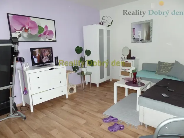 Pronájem bytu 1+kk, Opava, 28. října, 28 m2