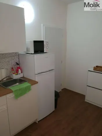 Pronájem bytu 1+kk, Most, Slovenského národního povstání, 22 m2