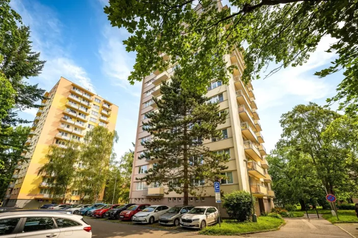 Pronájem bytu 2+kk, České Budějovice - České Budějovice 3, Čéčova, 53 m2