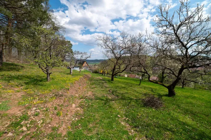 Prodej pozemku pro bydlení, Sentice, 9810 m2