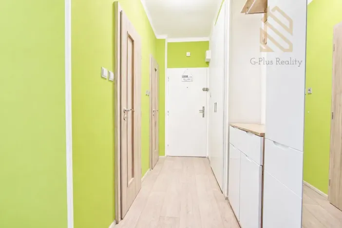 Pronájem bytu 2+1, Lovosice, Wolkerova, 48 m2