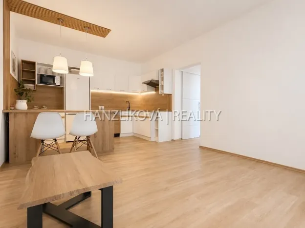 Prodej bytu 2+kk, České Budějovice - České Budějovice 2, Dlouhá, 45 m2