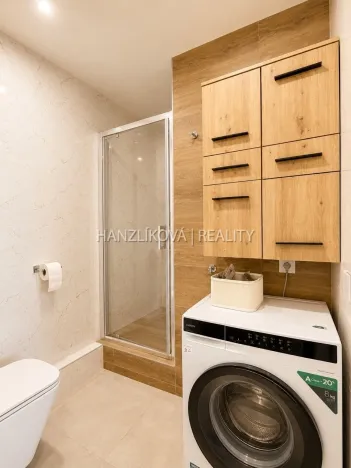Prodej bytu 2+kk, České Budějovice - České Budějovice 2, Dlouhá, 45 m2