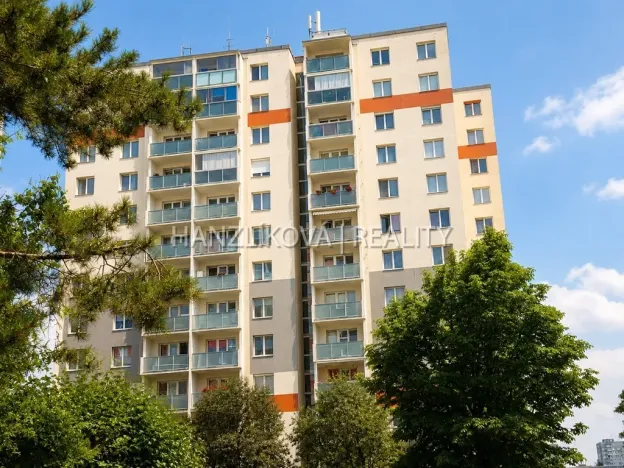 Prodej bytu 2+kk, České Budějovice - České Budějovice 2, Dlouhá, 45 m2