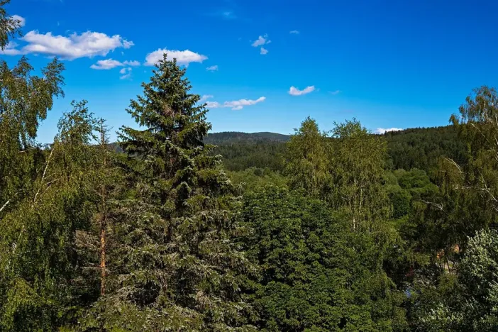 Prodej bytu 2+1, Bayerisch Eisenstein, Německo, Brennesstraße, 55 m2