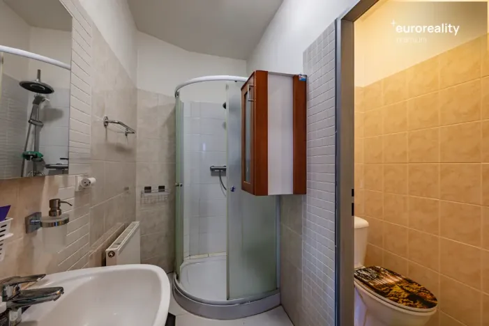 Prodej rodinného domu, Velká Hleďsebe, Havlíčkova, 229 m2