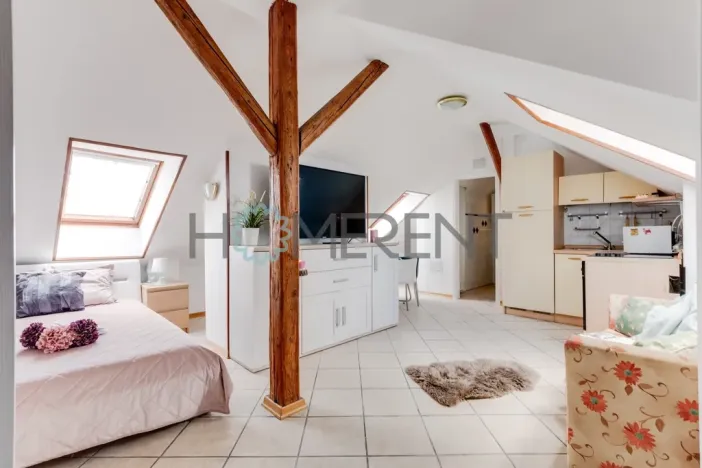 Pronájem bytu 1+kk, Praha - Bubeneč, U akademie, 39 m2