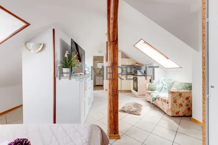 Pronájem bytu 1+kk, Praha - Bubeneč, U akademie, 39 m2
