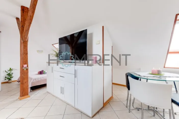 Pronájem bytu 1+kk, Praha - Bubeneč, U akademie, 39 m2