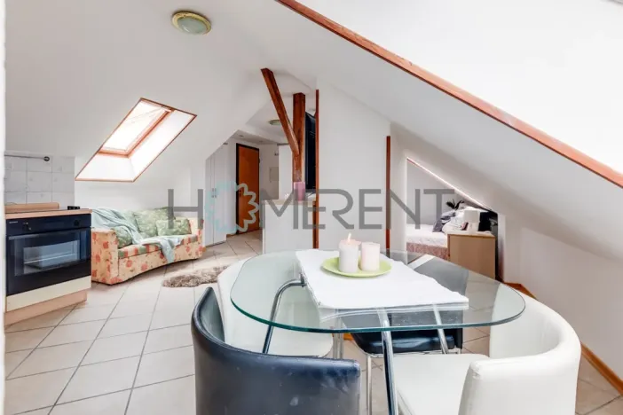 Pronájem bytu 1+kk, Praha - Bubeneč, U akademie, 39 m2