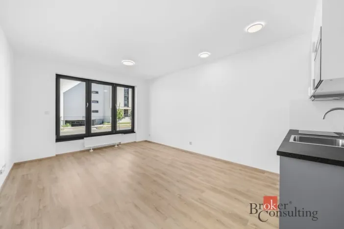 Pronájem bytu 1+kk, Plzeň - Jižní Předměstí, Železná, 33 m2