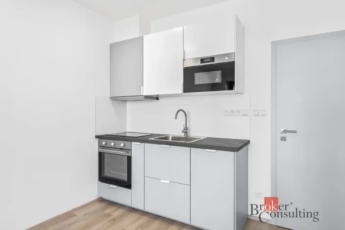 Pronájem bytu 1+kk, Plzeň - Jižní Předměstí, Železná, 33 m2