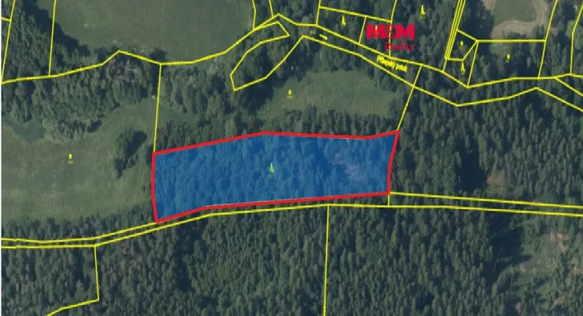 Prodej lesa, Chyňava - Lhotka u Berouna, 7138 m2