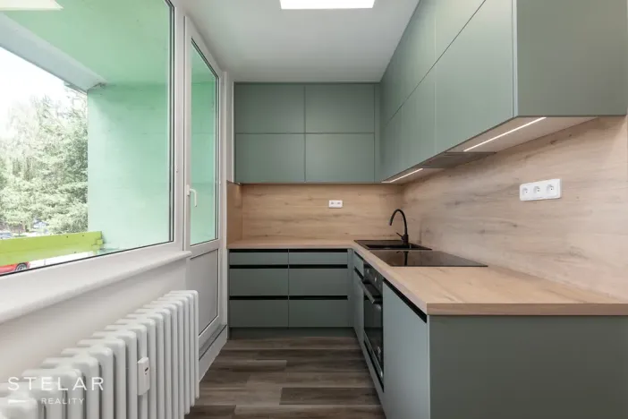 Prodej bytu 1+1, Opava, Zeyerova, 35 m2