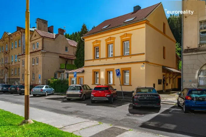 Prodej vícegeneračního domu, Kraslice, Pod nádražím, 259 m2