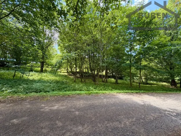 Prodej pozemku pro bydlení, Planá - Kříženec, 4165 m2