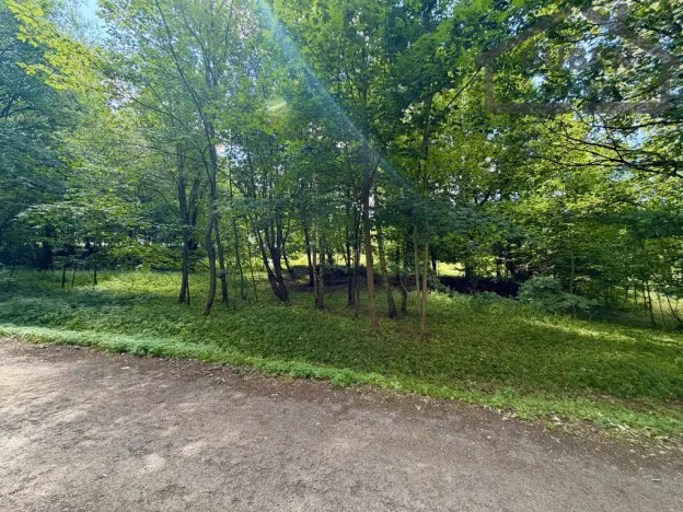Prodej pozemku pro bydlení, Planá - Kříženec, 4165 m2