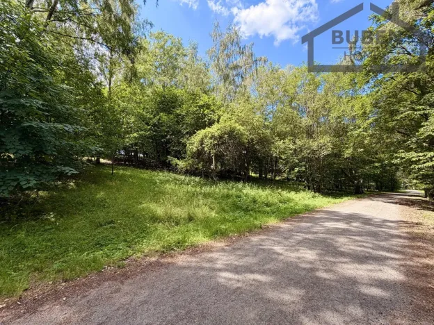 Prodej pozemku pro bydlení, Planá - Kříženec, 4165 m2