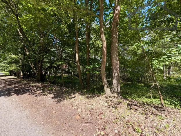Prodej pozemku pro bydlení, Planá - Kříženec, 4165 m2
