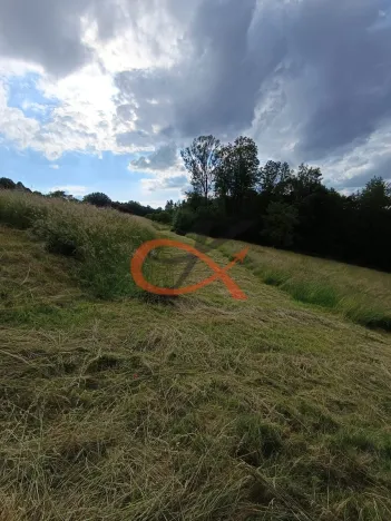 Prodej pozemku pro bydlení, Valašská Bystřice, 700 m2