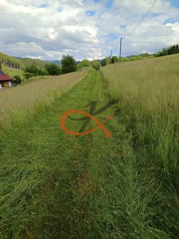 Prodej pozemku pro bydlení, Valašská Bystřice, 700 m2
