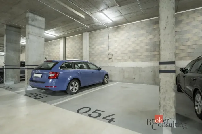 Prodej bytu 2+kk, Praha - Vysočany, Pechmanových, 54 m2