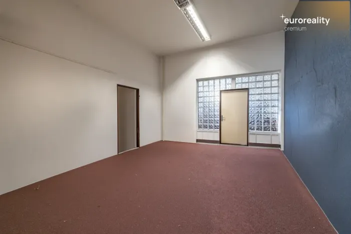 Prodej vícegeneračního domu, Sokolov, U Divadla, 360 m2