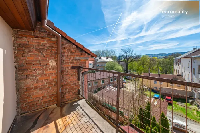 Prodej vícegeneračního domu, Sokolov, U Divadla, 360 m2