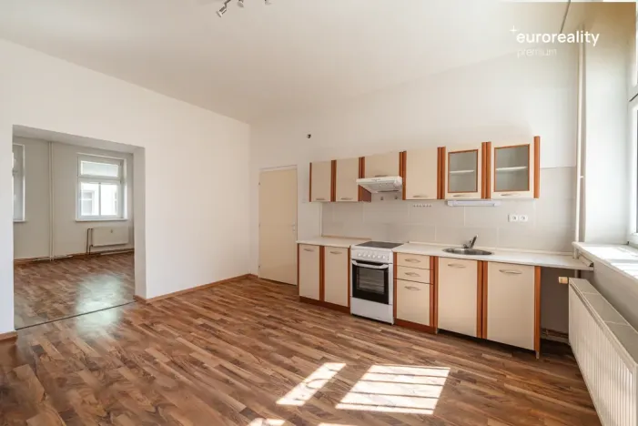 Prodej vícegeneračního domu, Sokolov, U Divadla, 360 m2