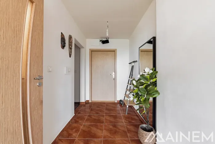 Prodej bytu 2+kk, Plzeň, Klatovská, 43 m2