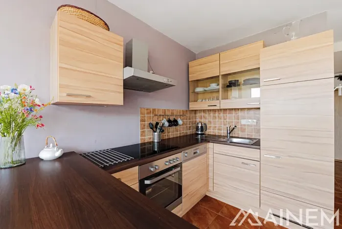 Prodej bytu 2+kk, Plzeň, Klatovská, 43 m2