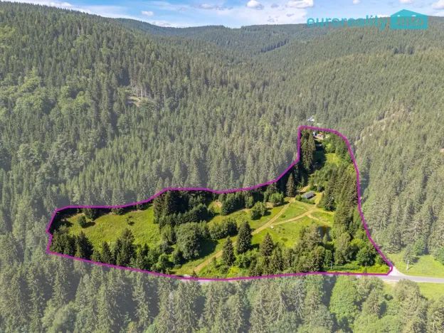Prodej chalupy, Stříbrná, 460 m2