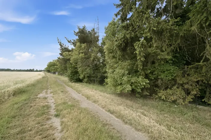 Prodej pozemku pro bydlení, Štěpánov, Březecká, 714 m2