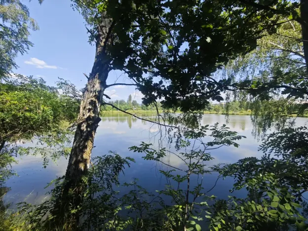 Prodej rodinného domu, Chodov, Lesní, 202 m2