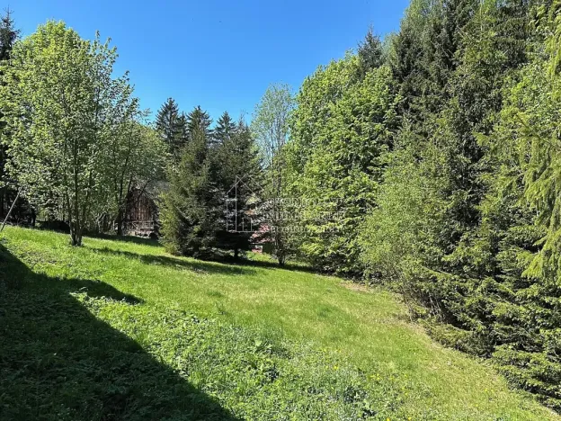 Prodej chalupy, Vysoké nad Jizerou, 86 m2