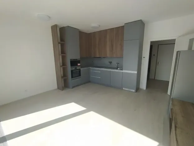 Pronájem bytu 2+kk, Praha - Holešovice, V háji, 55 m2